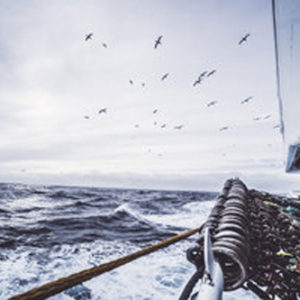 Coasting The Waters of Uncertainty