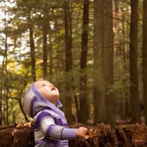 Wonder & The Beginner's Mind