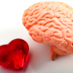 Pineal Gland & Heartfield Activation-Enhancing Inspired And Creative Decision Making, Collaboration and Problem Solving