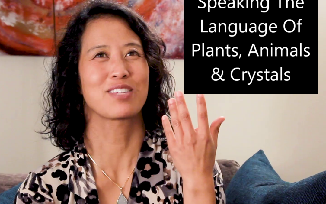 Episode 79 Speaking The Language Of Animals, Plants & Crystals