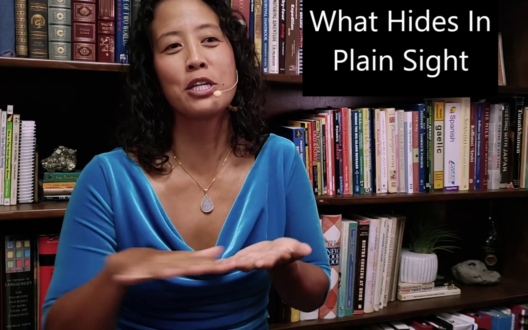 Episode 87 What Hides In Plain Sight
