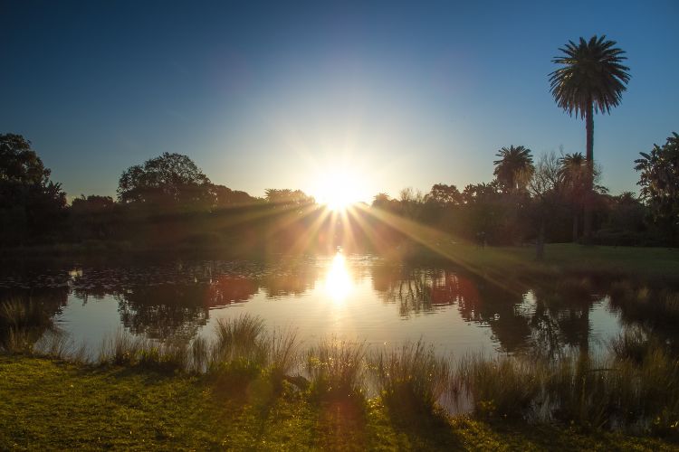 GFC: Christ Consciousness at Winter Solstice – Emergence from Darkness into Light
